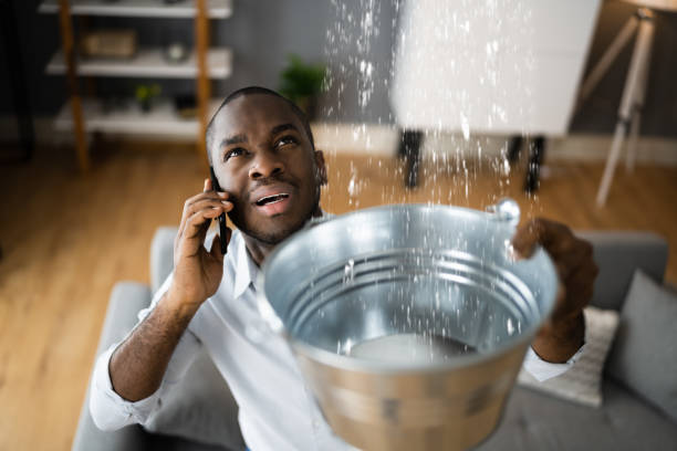 Best Basement water damage restoration  in Whittier, CA