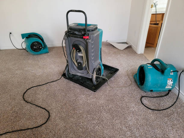 Professional Water damage restoration in Whittier, CA