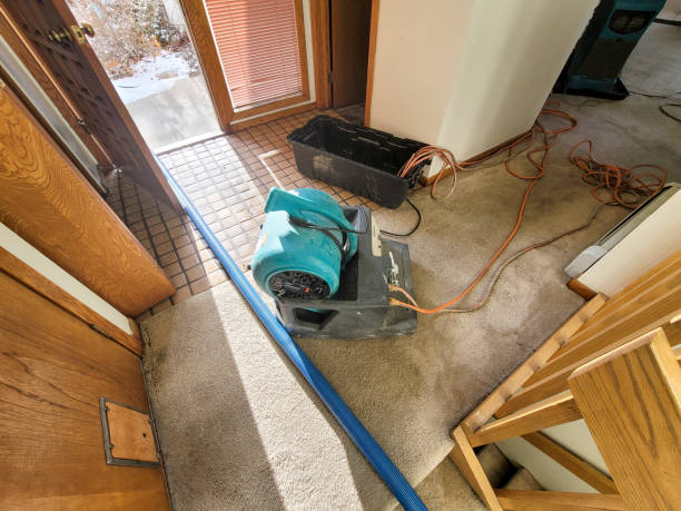 Best Sewage cleanup and water damage restoration  in Whittier, CA