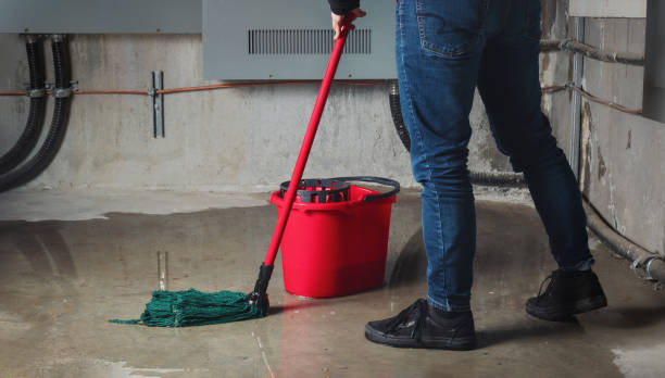 Best Flooded house restoration  in Whittier, CA