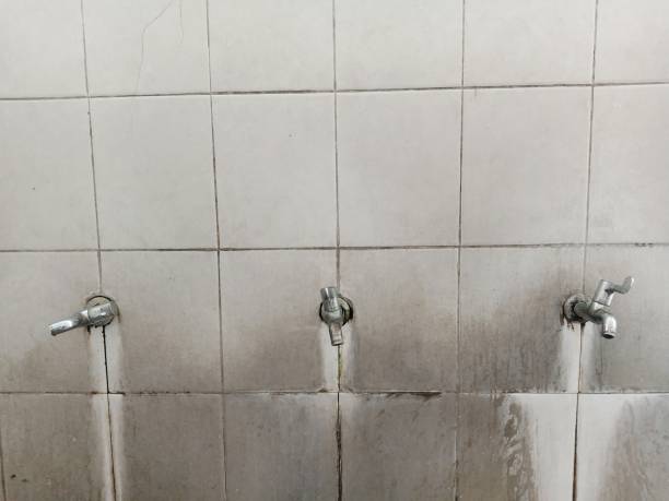 Best Water damage restoration company  in Whittier, CA