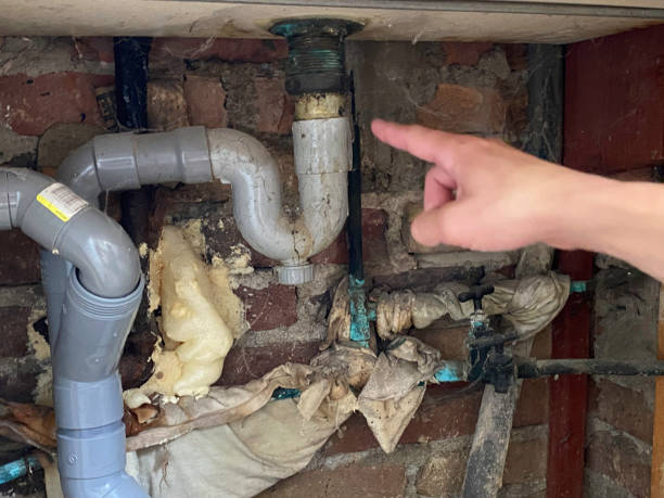 Best Ceiling water damage repair  in Whittier, CA