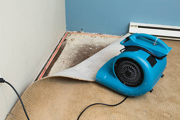 Best Flood damage cleanup  in Whittier, CA